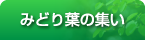 みどり葉の集い